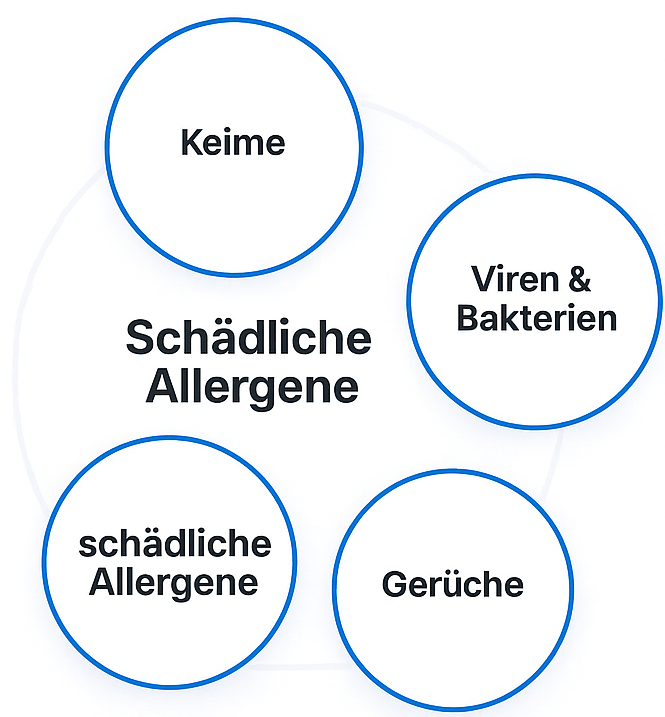 aceor graphic